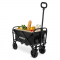 Carrinho Compacto Dobrável– 60kg, 50L, Preto